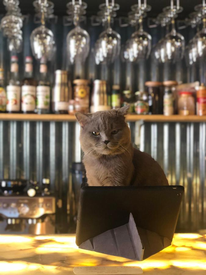 ココ ホステル ホーチミン市 エクステリア 写真